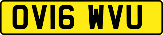 OV16WVU