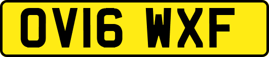 OV16WXF