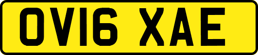 OV16XAE