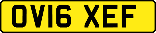 OV16XEF