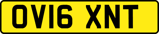 OV16XNT
