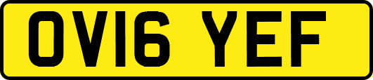 OV16YEF