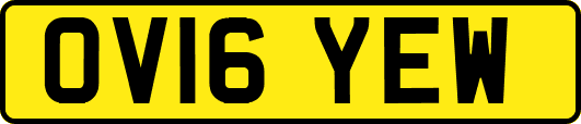OV16YEW