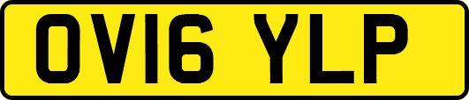 OV16YLP