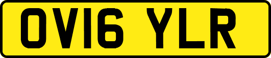 OV16YLR