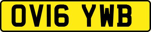 OV16YWB