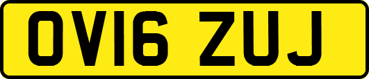 OV16ZUJ