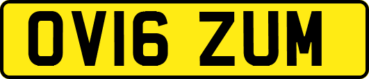 OV16ZUM