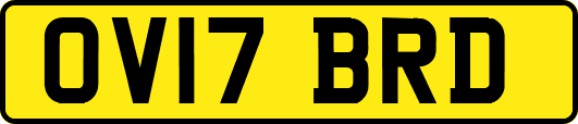 OV17BRD