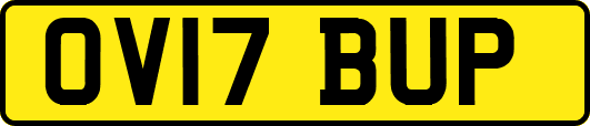 OV17BUP