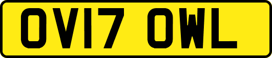 OV17OWL