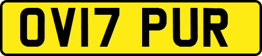 OV17PUR