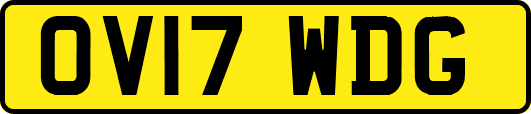 OV17WDG