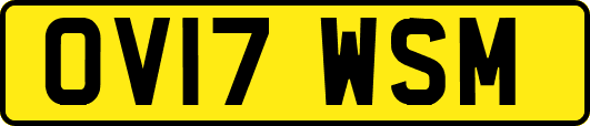 OV17WSM