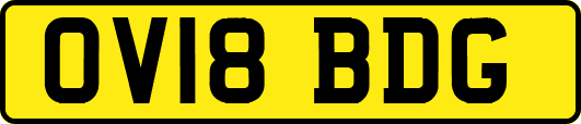 OV18BDG