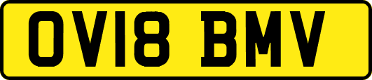 OV18BMV