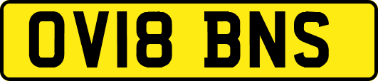 OV18BNS