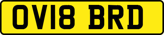 OV18BRD