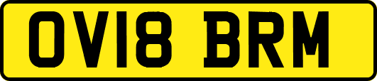 OV18BRM