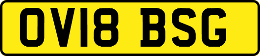 OV18BSG