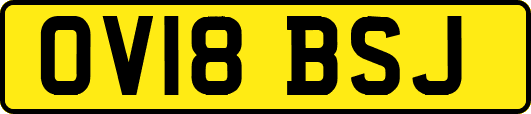 OV18BSJ