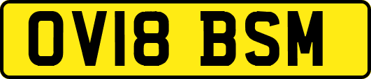 OV18BSM