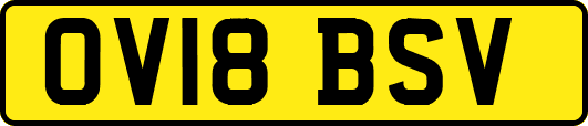 OV18BSV
