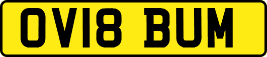 OV18BUM