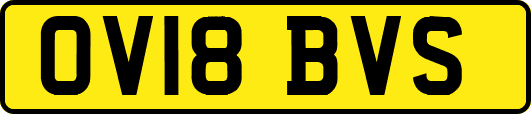OV18BVS