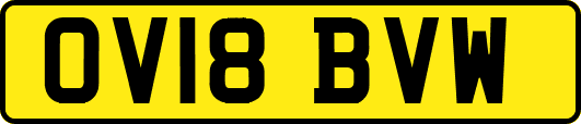 OV18BVW
