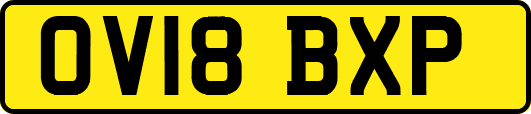 OV18BXP