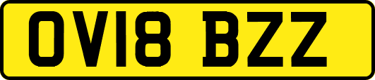 OV18BZZ