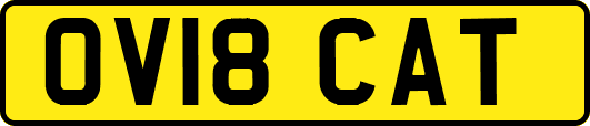 OV18CAT