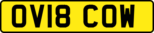 OV18COW