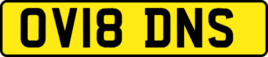 OV18DNS