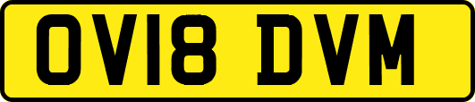 OV18DVM