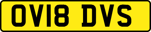 OV18DVS