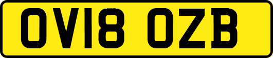 OV18OZB