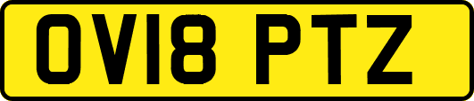 OV18PTZ