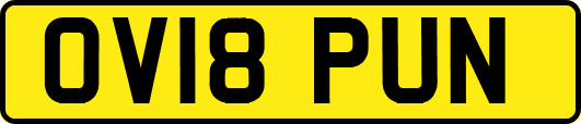 OV18PUN