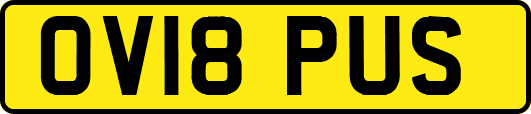 OV18PUS