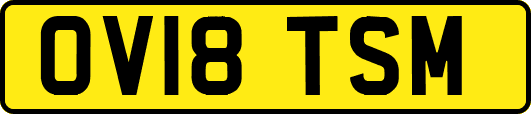 OV18TSM