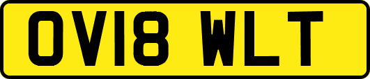 OV18WLT