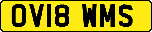 OV18WMS