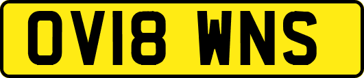 OV18WNS