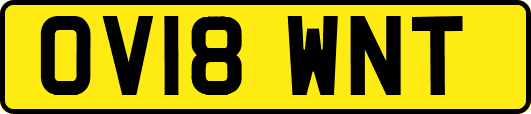 OV18WNT