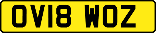 OV18WOZ