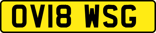 OV18WSG
