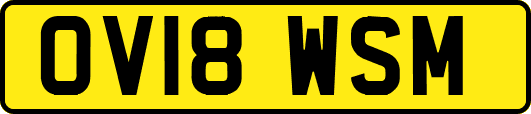 OV18WSM