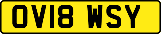 OV18WSY